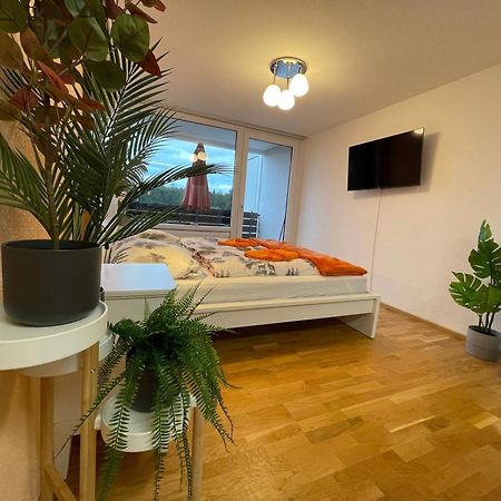 Ferienwohnung In Freudenstadt-Kniebis III Ngoại thất bức ảnh